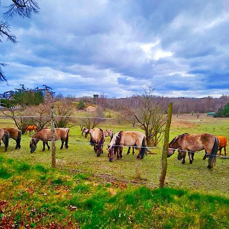 Nadmorska Osada Villa Oslonino Luaran gambar
